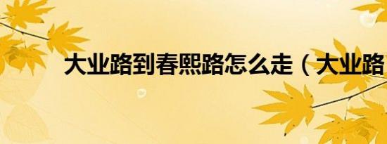 大业路到春熙路怎么走（大业路）