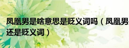 凤凰男是啥意思是贬义词吗（凤凰男是褒义词还是贬义词）