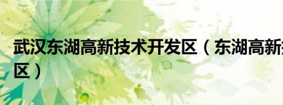 武汉东湖高新技术开发区（东湖高新技术开发区）