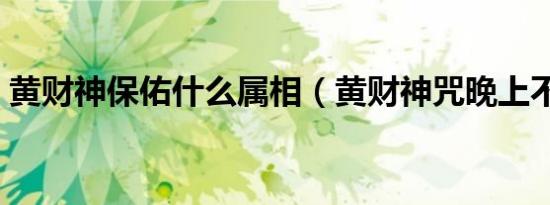 黄财神保佑什么属相（黄财神咒晚上不能念）