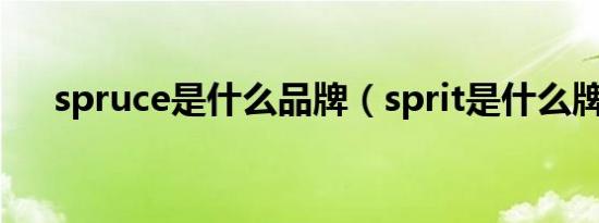 spruce是什么品牌（sprit是什么牌子）