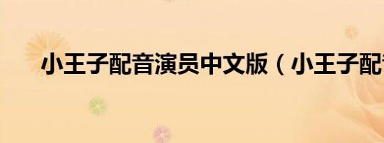 小王子配音演员中文版（小王子配音）