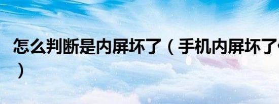怎么判断是内屏坏了（手机内屏坏了什么现象）