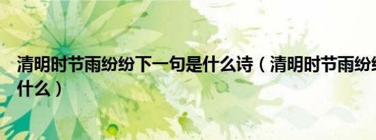 清明时节雨纷纷下一句是什么诗（清明时节雨纷纷下一句是什么）