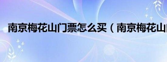 南京梅花山门票怎么买（南京梅花山门票）