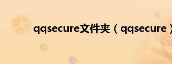 qqsecure文件夹（qqsecure）
