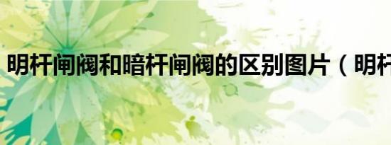 明杆闸阀和暗杆闸阀的区别图片（明杆闸阀）