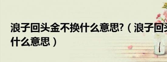 浪子回头金不换什么意思?（浪子回头金不换什么意思）