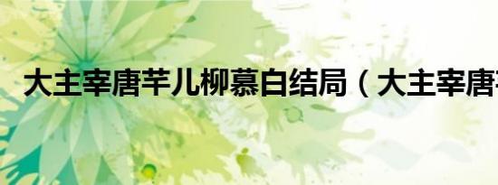 大主宰唐芊儿柳慕白结局（大主宰唐芊儿）