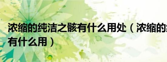 浓缩的纯洁之骸有什么用处（浓缩的纯洁之骸有什么用）