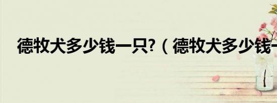 德牧犬多少钱一只?（德牧犬多少钱一只）