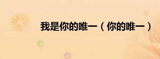 我是你的唯一（你的唯一）