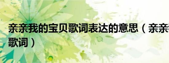 亲亲我的宝贝歌词表达的意思（亲亲我的宝贝歌词）