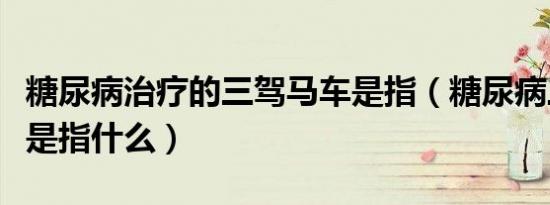 糖尿病治疗的三驾马车是指（糖尿病三驾马车是指什么）