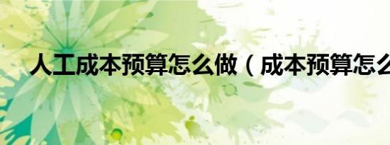人工成本预算怎么做（成本预算怎么做）