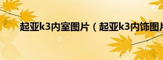 起亚k3内室图片（起亚k3内饰图片）