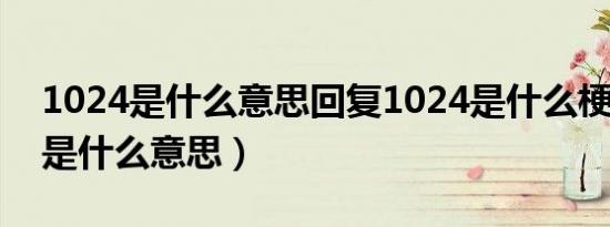 1024是什么意思回复1024是什么梗（1024是什么意思）
