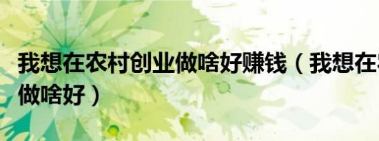 我想在农村创业做啥好赚钱（我想在农村创业做啥好）