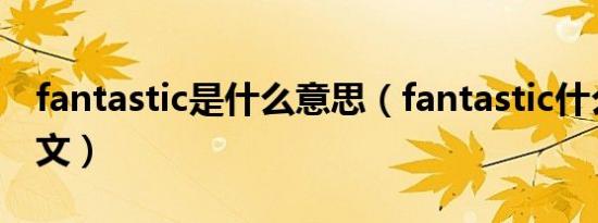 fantastic是什么意思（fantastic什么意思中文）