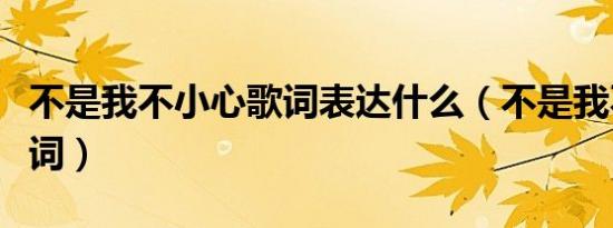 不是我不小心歌词表达什么（不是我不小心歌词）