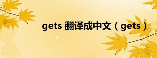 gets 翻译成中文（gets）