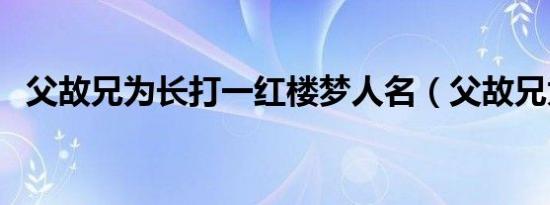 父故兄为长打一红楼梦人名（父故兄为长）