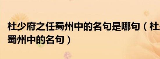 杜少府之任蜀州中的名句是哪句（杜少府之任蜀州中的名句）