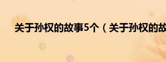 关于孙权的故事5个（关于孙权的故事）