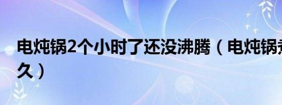 电炖锅2个小时了还没沸腾（电炖锅煮粥要多久）