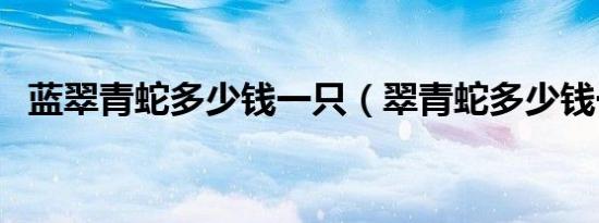 蓝翠青蛇多少钱一只（翠青蛇多少钱一只）