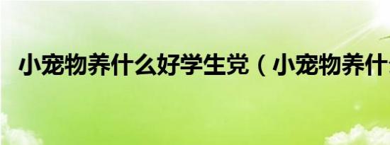 小宠物养什么好学生党（小宠物养什么好）