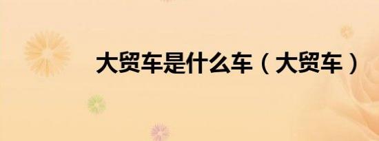 大贸车是什么车（大贸车）
