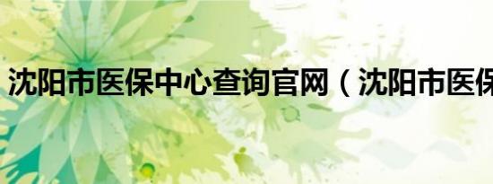 沈阳市医保中心查询官网（沈阳市医保中心）
