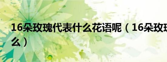 16朵玫瑰代表什么花语呢（16朵玫瑰代表什么）