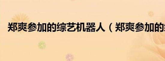 郑爽参加的综艺机器人（郑爽参加的综艺）