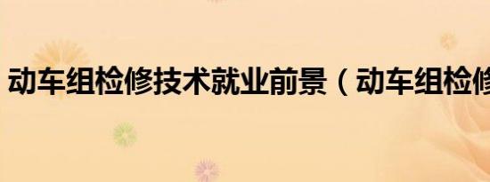 动车组检修技术就业前景（动车组检修技术）