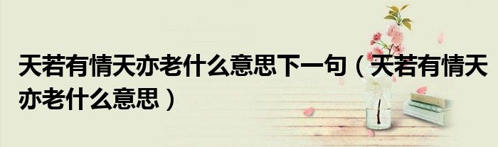 温暖的天若有情天亦老是什么意思的视图