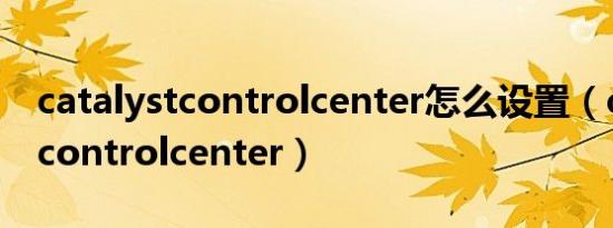 catalystcontrolcenter怎么设置（catalystcontrolcenter）
