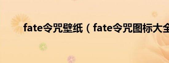fate令咒壁纸（fate令咒图标大全）