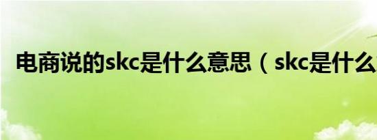 电商说的skc是什么意思（skc是什么意思）