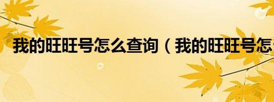 我的旺旺号怎么查询（我的旺旺号怎么查）