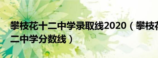 攀枝花十二中学录取线2020（攀枝花市第十二中学分数线）