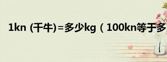 1kn (千牛)=多少kg（100kn等于多少吨）