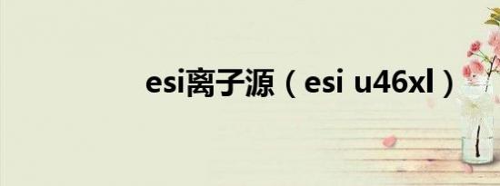 esi离子源（esi u46xl）