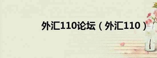 外汇110论坛（外汇110）
