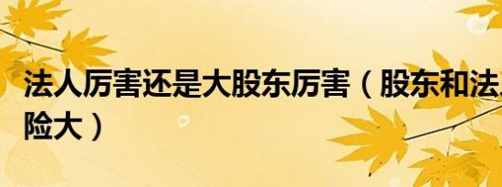 法人厉害还是大股东厉害（股东和法人哪个风险大）