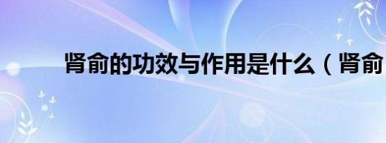 肾俞的功效与作用是什么（肾俞）