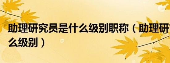 助理研究员是什么级别职称（助理研究员是什么级别）