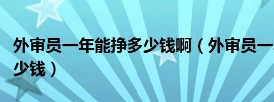 外审员一年能挣多少钱啊（外审员一年能挣多少钱）