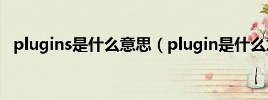 plugins是什么意思（plugin是什么意思）
